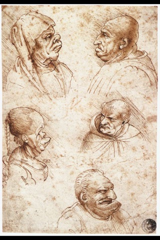 Drawings: Leonardo DaVinci screenshot 2