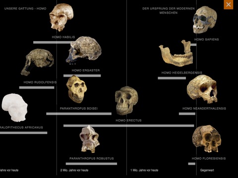 Evolution – Faszination Erdgeschichte: Urtiere, Dinosaurier, Neandertaler & Co screenshot 2