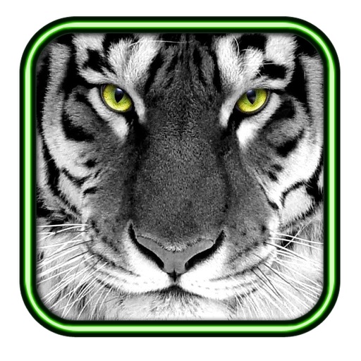 Cool Animal Facts iOS App