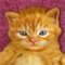 Help your kids learn math with this cute kitten calculator