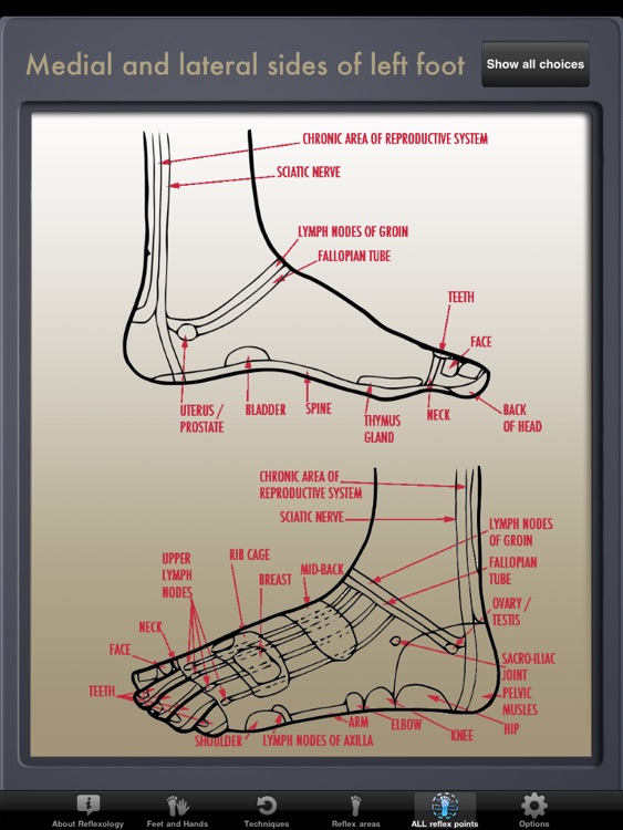 Reflexology PRO for iPad screenshot-4