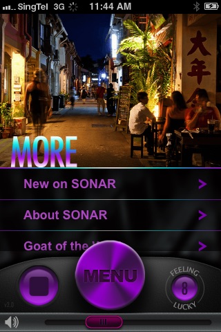 Sonar screenshot-3