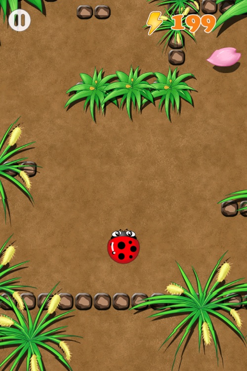 Bug Story