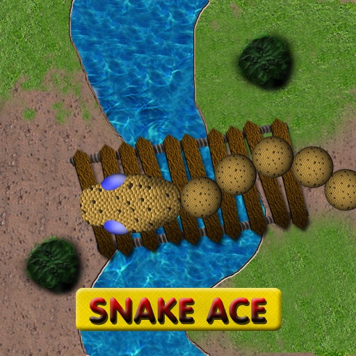 Snake Ace