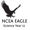 NCEA Science Year 11