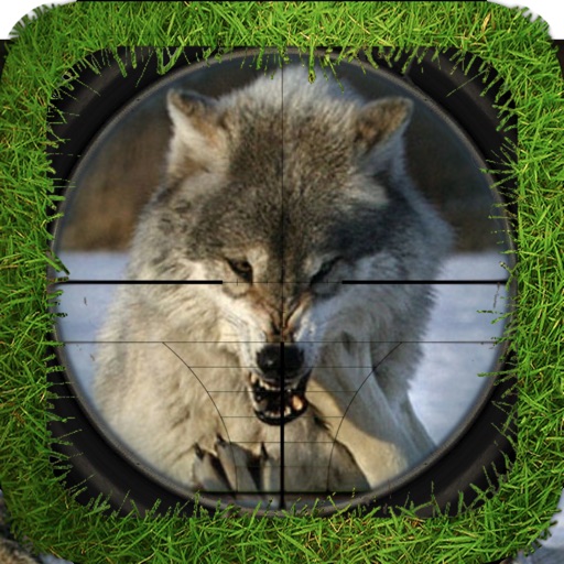 Animal Hunting icon