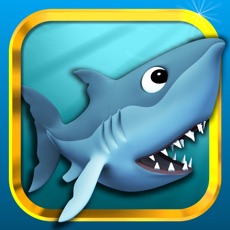 Activities of Funny Shark Game