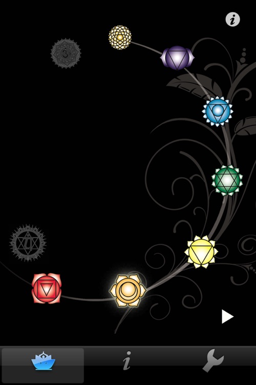 Chakra Wisdom