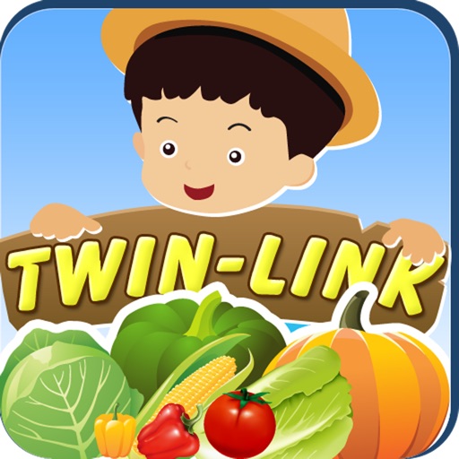 TwinLink Icon