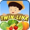 TwinLink
