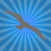 Seagull Shooter Free - Use the Pirate's Cannons Blast the Seagulls From the Sky!
