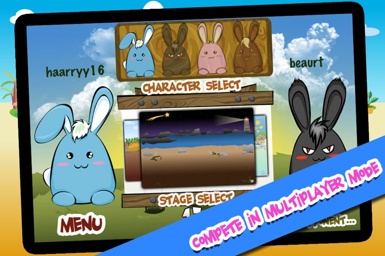 Rabbit Race