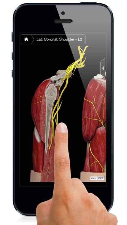 Shoulder Pro III with Animations - iPhone Edition
