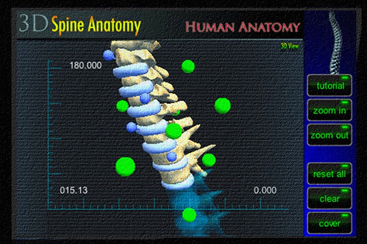 Anatomy Spine 3D screenshot-4