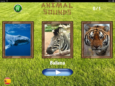 Find The Animal HD screenshot 3