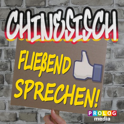 CHINESISCH… Fließend Sprechen! (Chinese for Ger...