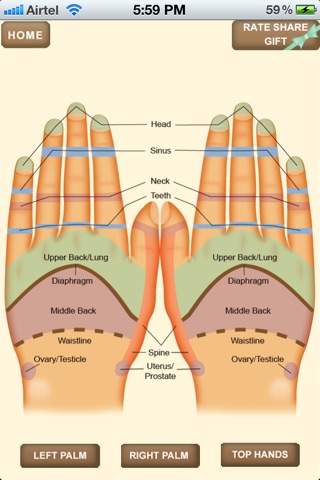 iPocket Hand Reflexology screenshot 4