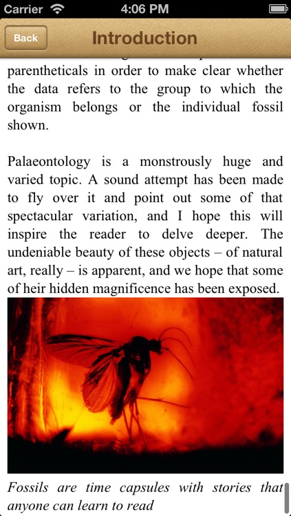 Fossils screenshot-3