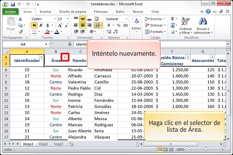 Curso de Excel 2010 - Filtros por Color screenshot 3