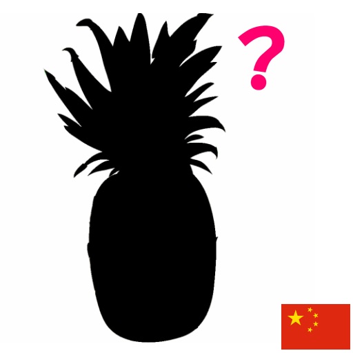 Fruits and Vegetables Silhouette Quiz (Chinese) icon