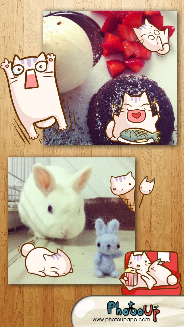 How to cancel & delete Nabbit Cam by PhotoUp - Cute  Rabbit Bunny Cat Stamps Photo Frame Filter Decoration App from iphone & ipad 2