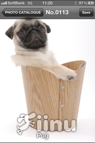 Look!Pug screenshot 3