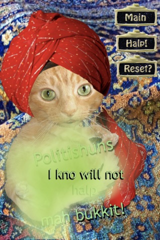 Swami Paws the LOLcat Fortune Teller screenshot 2