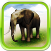 REAL ANIMALS HD
