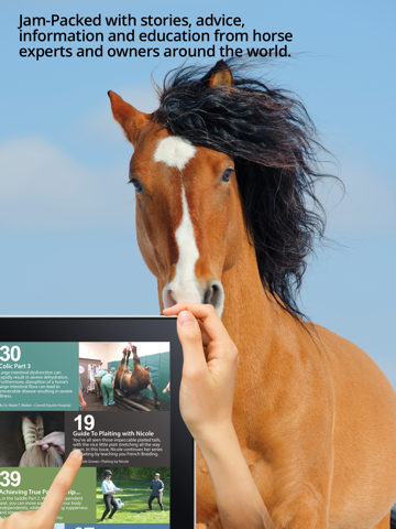 Скриншот из Saddle And Stirrups Magazine: Equestrian health, nutrition and horsemanship for horse and rider