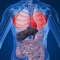 Learn about endocrinology