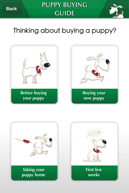 Kennel Club Puppy Buying Guide by Fetch Digital Ltd