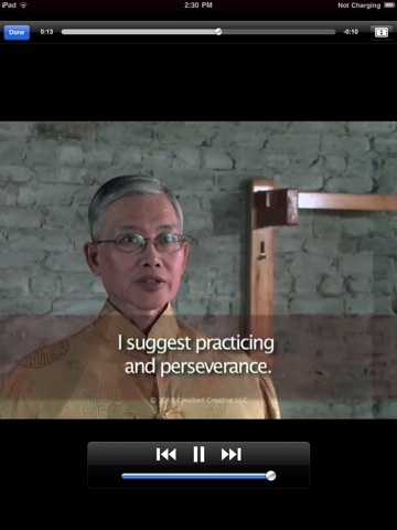 Wing Chun Masters - iPad Version screenshot 3