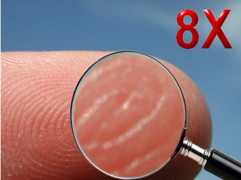 32X Magnifying Glass HD screenshot 3