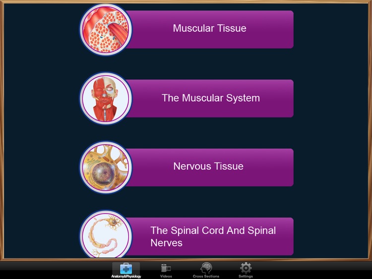 Anatomy & Physiology