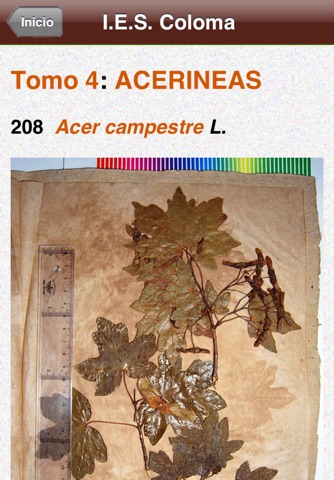 Herbario Coloma screenshot 2