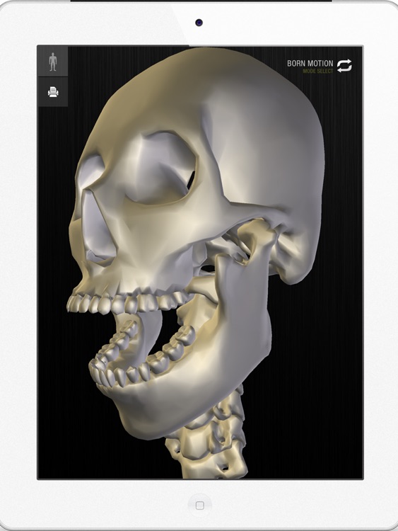 teamLabBody -3D Motion Human Anatomy Lite (Head and Neck)- screenshot-3