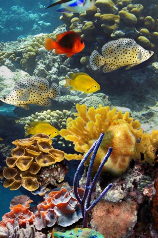 MyReef 3D Aquarium screenshot 2