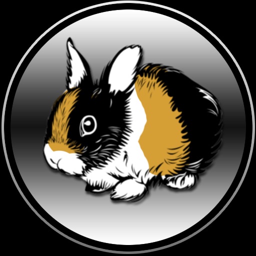 rabbits for kids vip icon