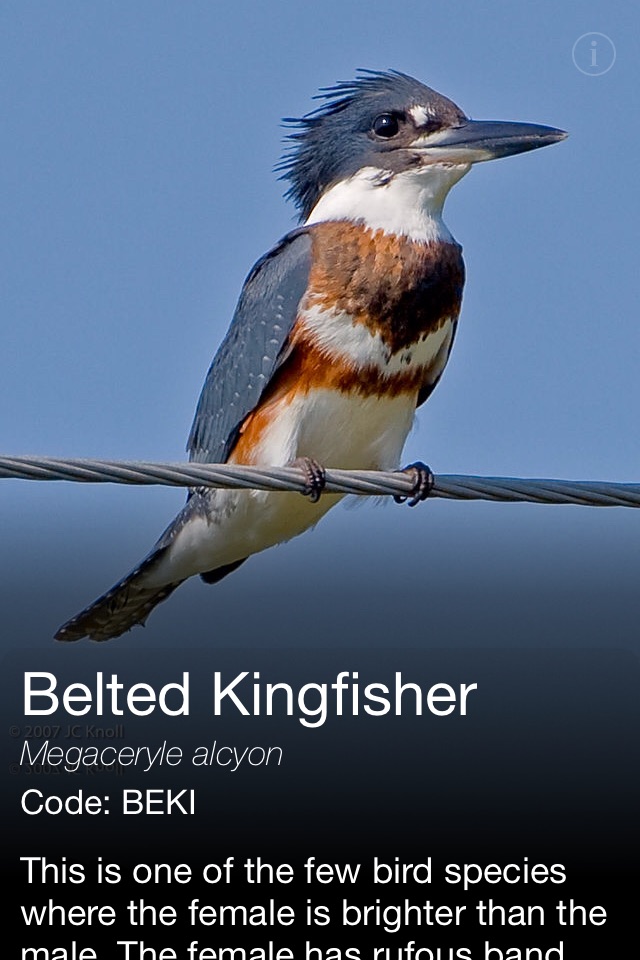 Daily Bird - the beautiful bird a day calendar app screenshot 2