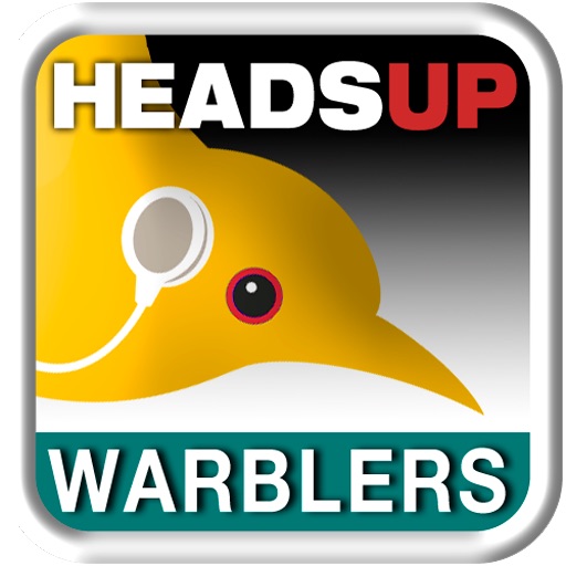 birdJam HeadsUp Warblers