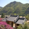 Beauty of Korea