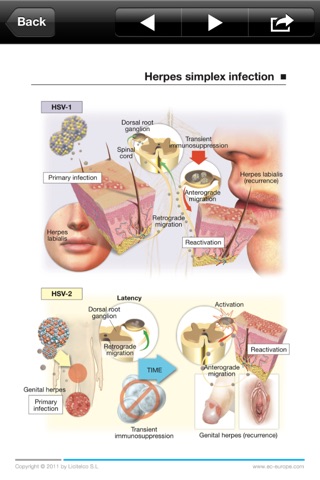 Miniatlas Dermatology screenshot 4