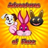 Adventures of Fluzz Land