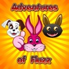 Adventures of Fluzz