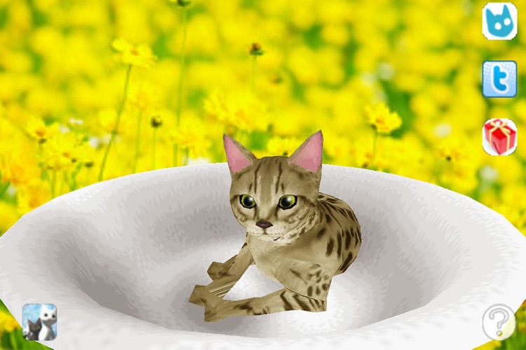 Savannah Petting cat 3D REAL Lite