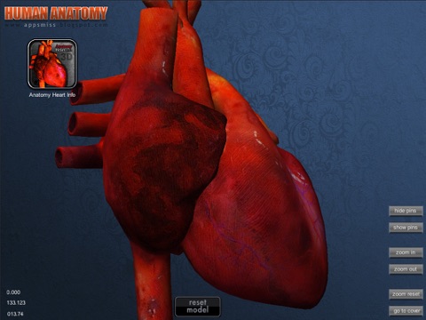 Anatomy Heart info screenshot 2