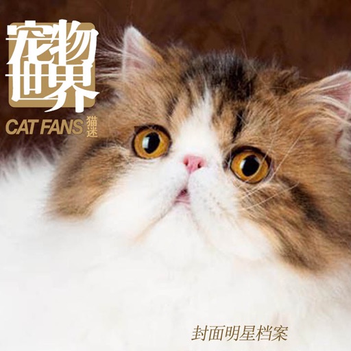 Cat Fans icon