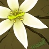 Maestria's Flower HD