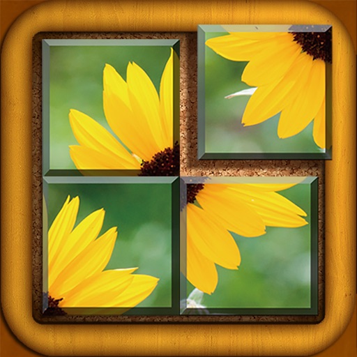 Picture Swap Puzzle iOS App