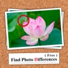 Find Photo Differences Free 2